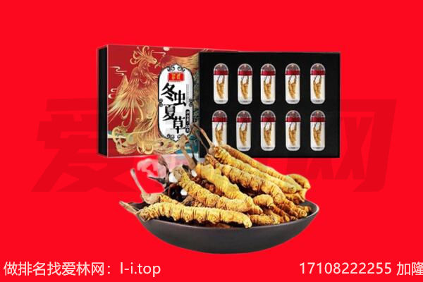 白山回收虫草.jpg